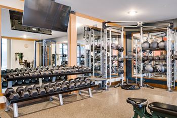a fitness room with weights and a tv